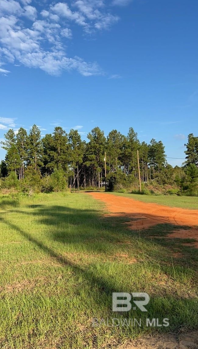 30141 Seed Orchard Rd unit 6, Robertsdale, AL 36567 - photo 2