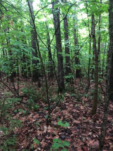 1.6 Ac Co Rd 407, Newberry, MI 49868
