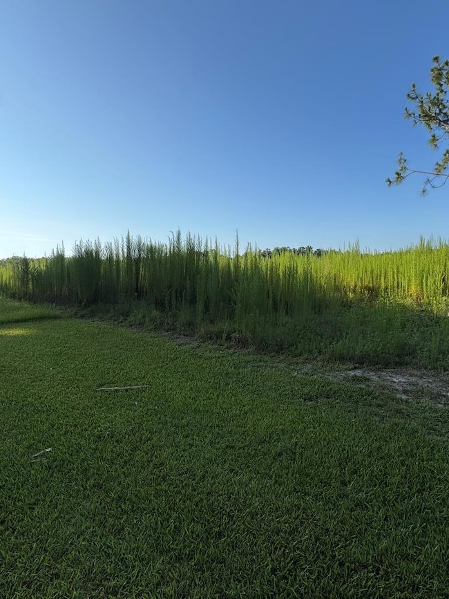 Tract 2 Hall Webb Rd, Hahira, GA - photo 3