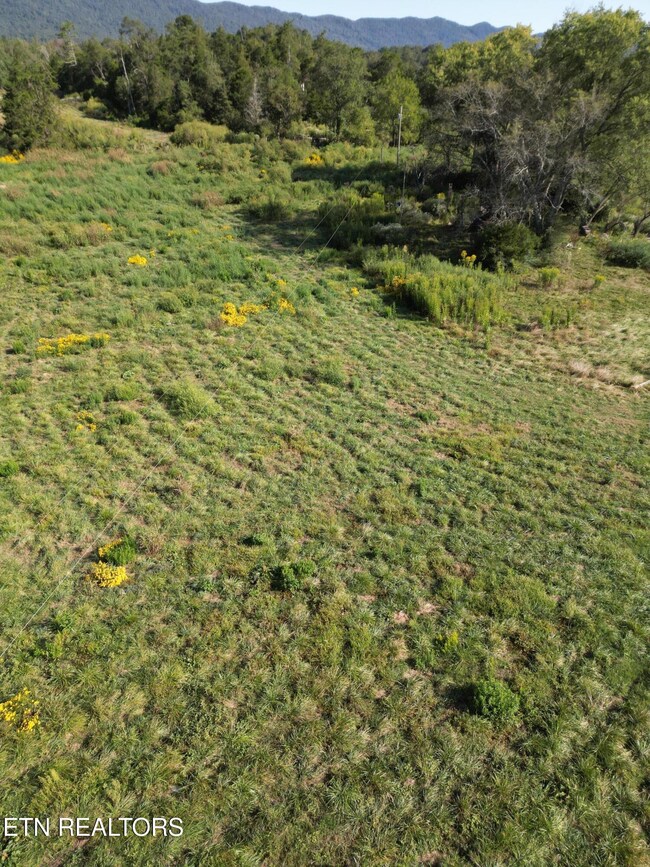 317 Singleton Hollow Rd unit lot 1, Speedwell, TN 37870 - photo 7