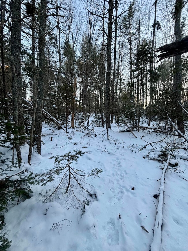 0 Meadow Brook Ln, Orland, ME 04472 - photo 3