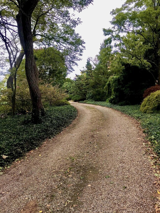 Entrance Drive