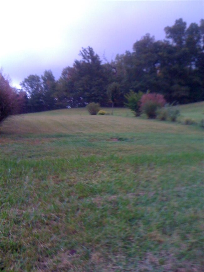 1381 Ingram Rd, Annville, KY 40402 - photo 5