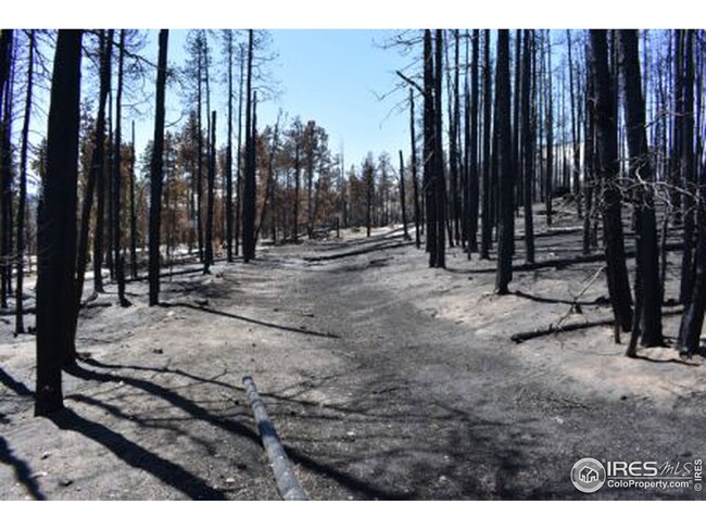 0 Crystal Mountain Rd unit 939671, Bellvue, CO 80512 - photo 4