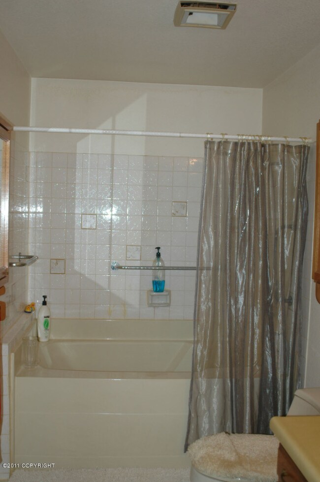 3930 Woronzof Dr, Anchorage, AK 99517 - photo 6