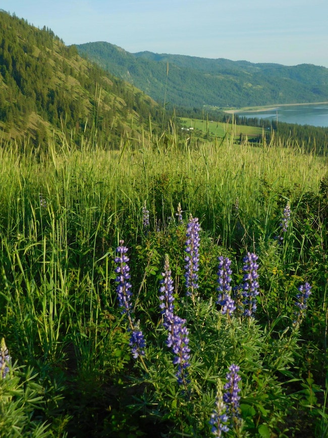 TBD Spirit Ridge Way, Rice, WA 99167 - photo 7