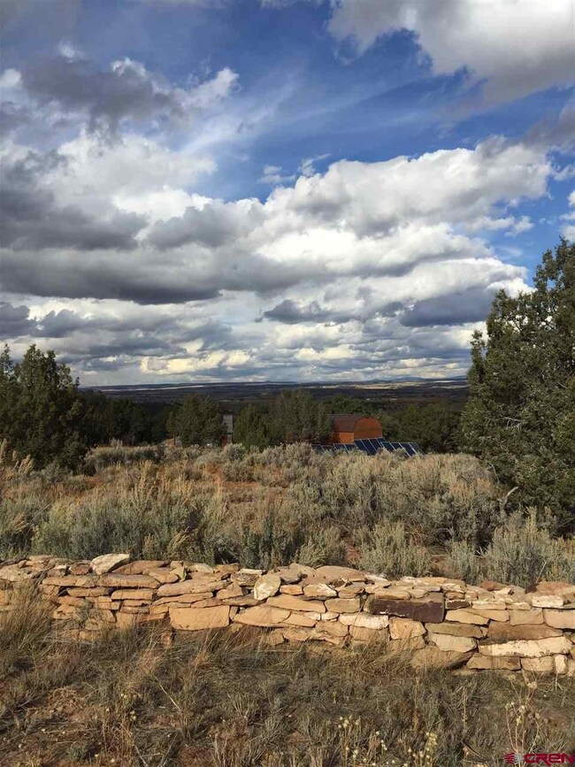 0 Road 21 9 unit 727856, Cortez, CO 81321 - photo 2