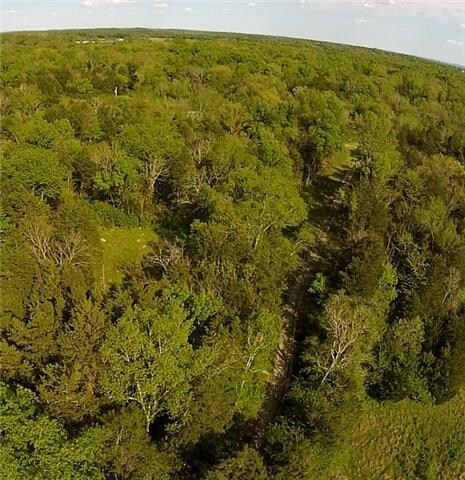 0 Verona Caney Rd unit 1632993, Chapel Hill, TN 37034 - photo 2