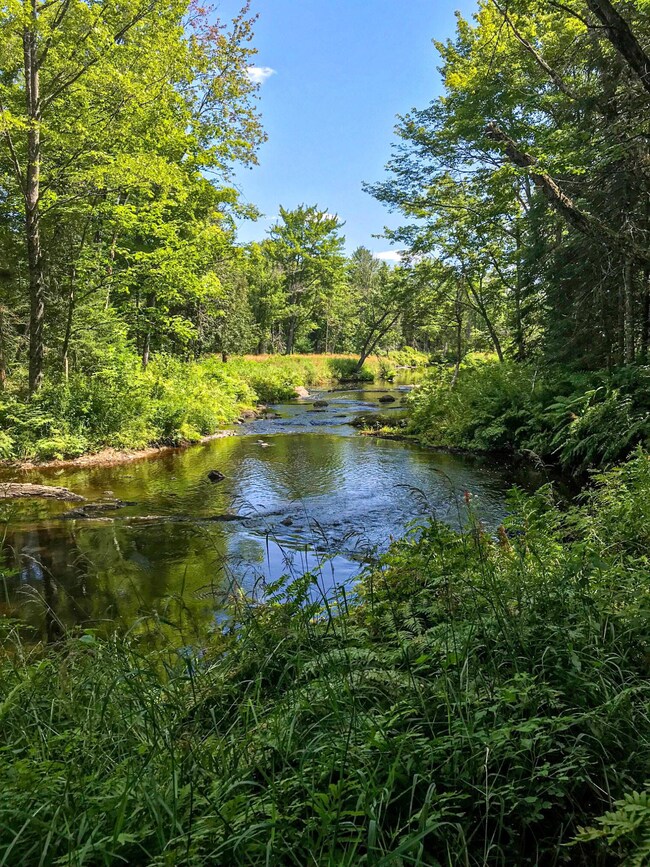 Long Stream Frontage