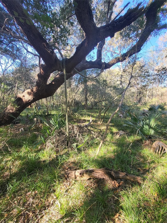 592 Cabana Trail, Angleton, TX 77515 - photo 7