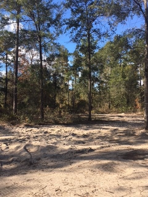 205 Scenic Stream Cir, Crawfordville, FL 32327 - photo 3