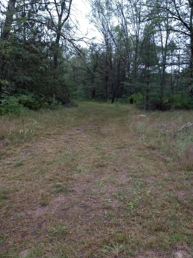 1964 W Ogilvie Ave, Baldwin, MI 49304 - photo 4