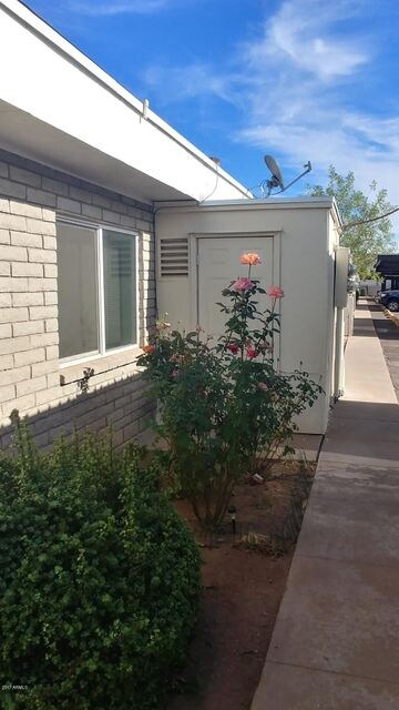 Back yard