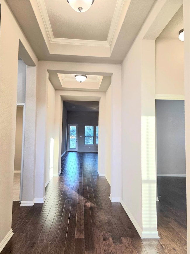 Hallway featuring a raised ceiling, ornamental molding, and dark wood-style floors