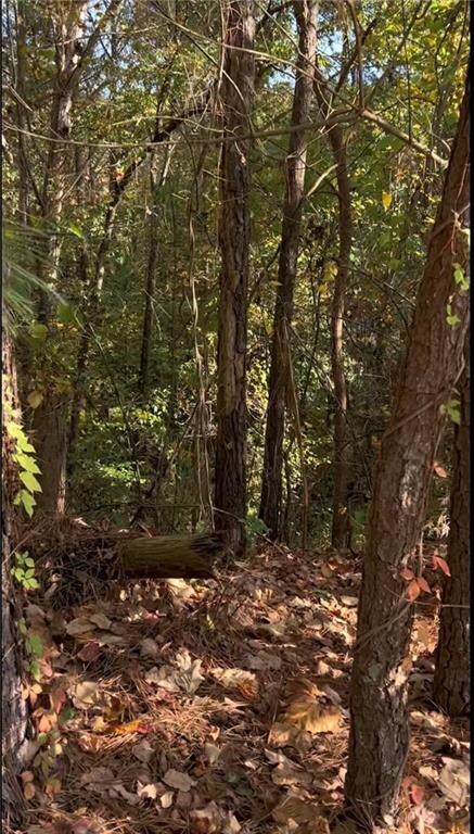 0 Governors Walk Dr unit 7294252, Canton, GA 30114 - photo 4