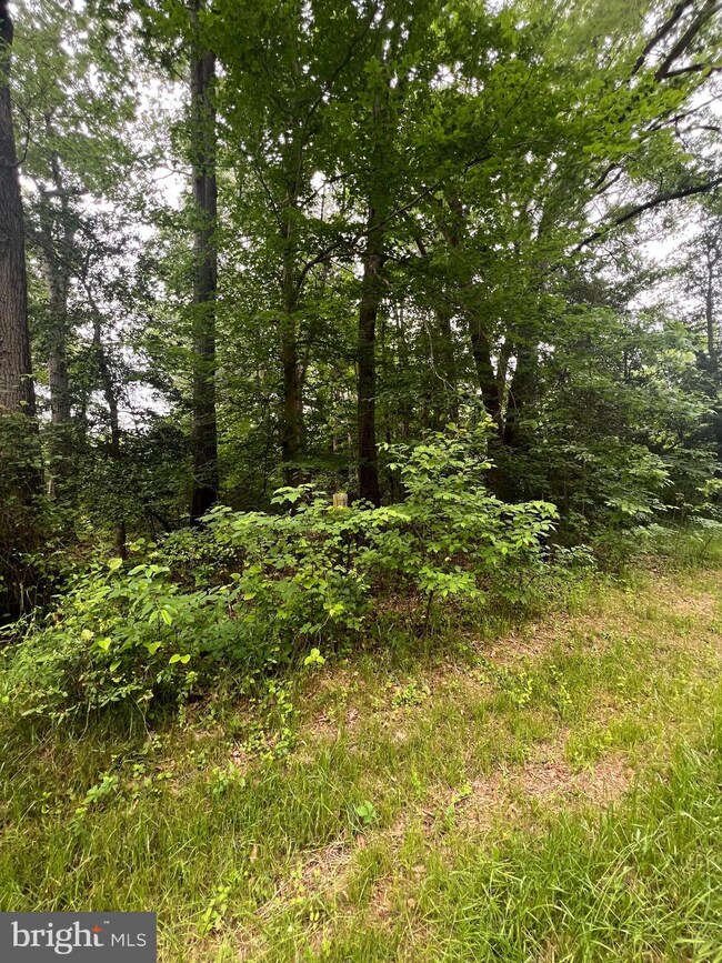 0 Albrough Blvd unit VAWE2006714, Colonial Beach, VA 22443 - photo 4