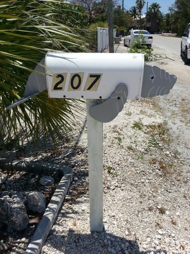 The manatee welcomes the mail!