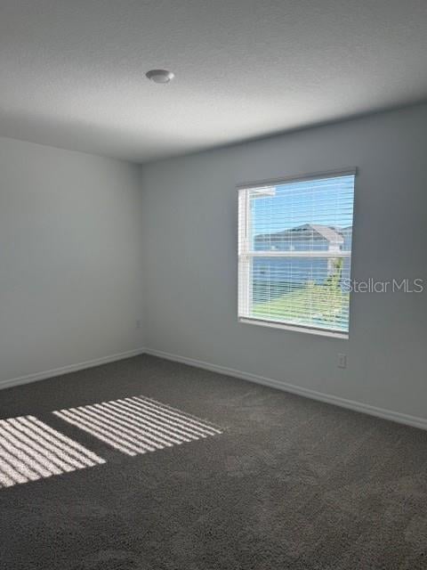 581 Mangrove Shade Cir, Apollo Beach, FL 33572 - photo 6