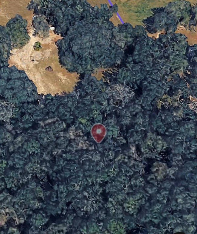 18016 SW 191st Ave, Archer, FL 32618 - photo 2