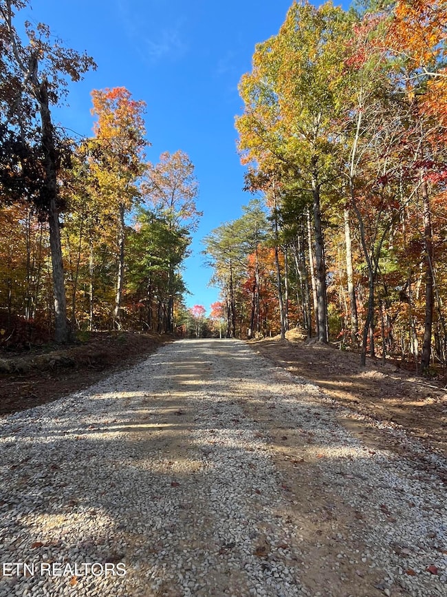 101 Cherokee Path, Tellico Plains, TN 37385 - photo 6