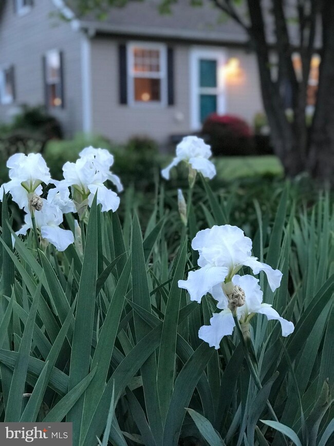 12700 Post Oak Rd, Spotsylvania, VA 22551 - photo 4