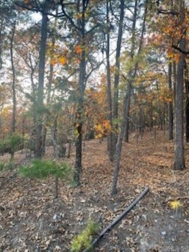 0 Rustic Hills Trail unit 25046619, Royal, AR 71968 - photo 3