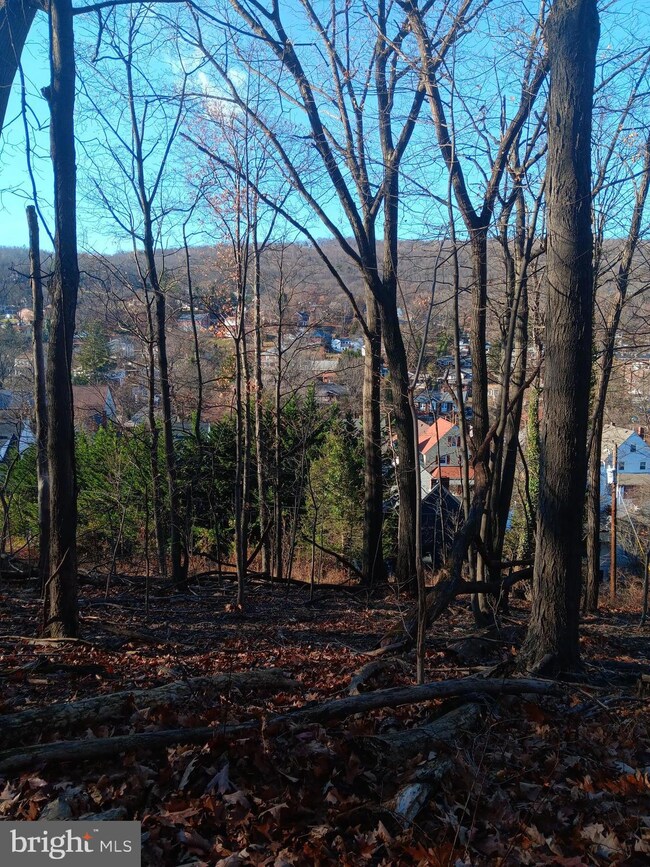 0 Gray Ave unit MDAL2013506, Cumberland, MD 21502 - photo 6