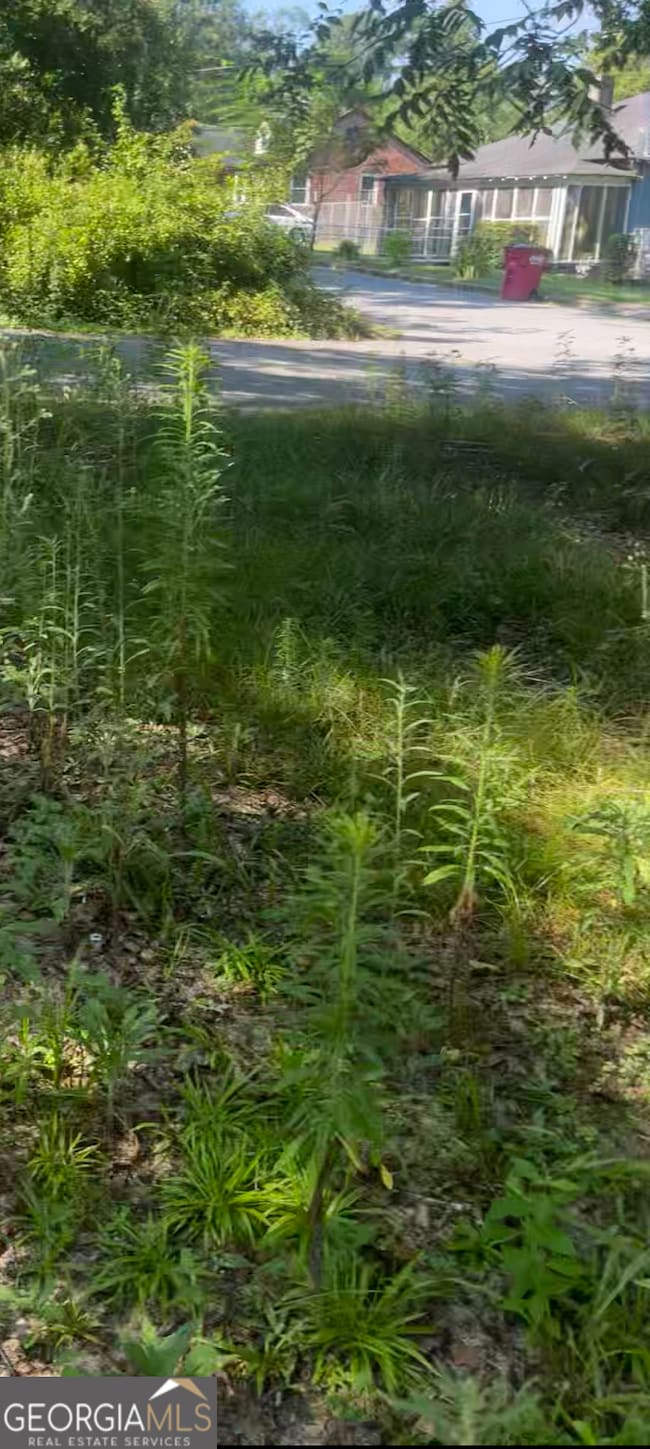 373 Gaillard St, Macon, GA 31204 - photo 3