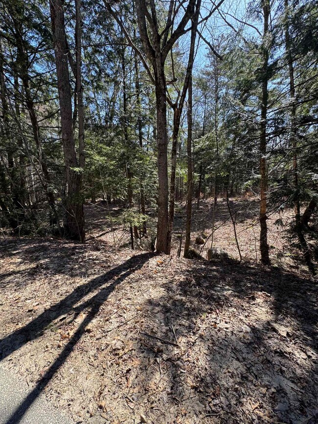 0 Banjo Dr unit Lot 17 4992445, Thornton, NH 03285 - photo 2