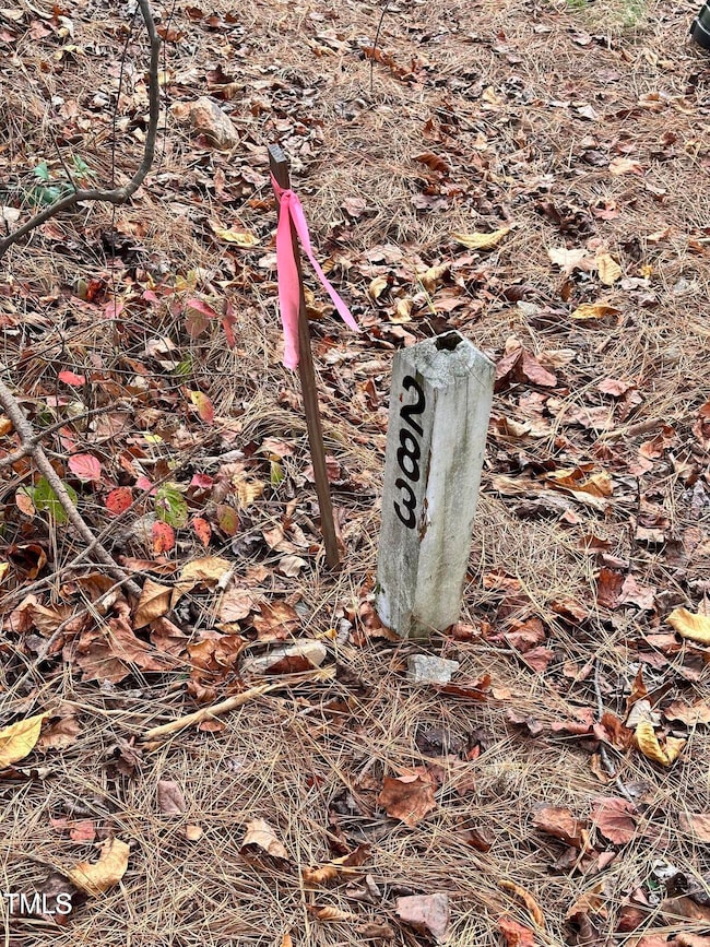 21 Bob White Way, Pittsboro, NC 27312 - photo 6