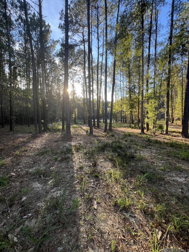 14333 Springfield Rd, Walker, LA 70785 - photo 4