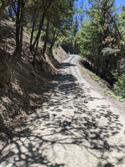 Road