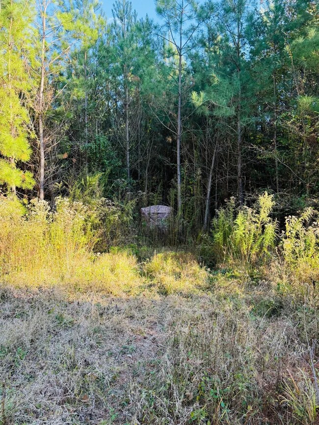 Cr 4210, Sallis, MS 39160 - photo 7