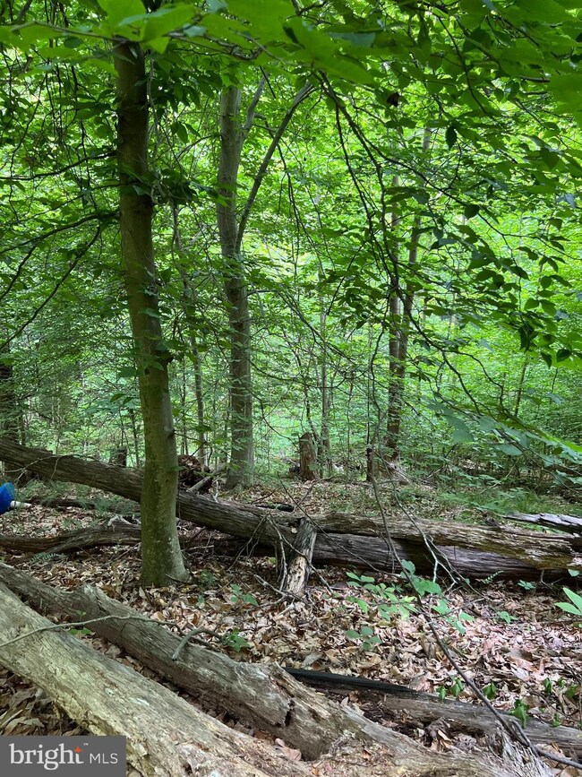 0 Quarry Rd unit VAST2021588, Stafford, VA 22554 - photo 3