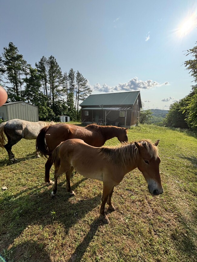 15047 Old West Eminence Rd, Eminence, MO 65466 - photo 6