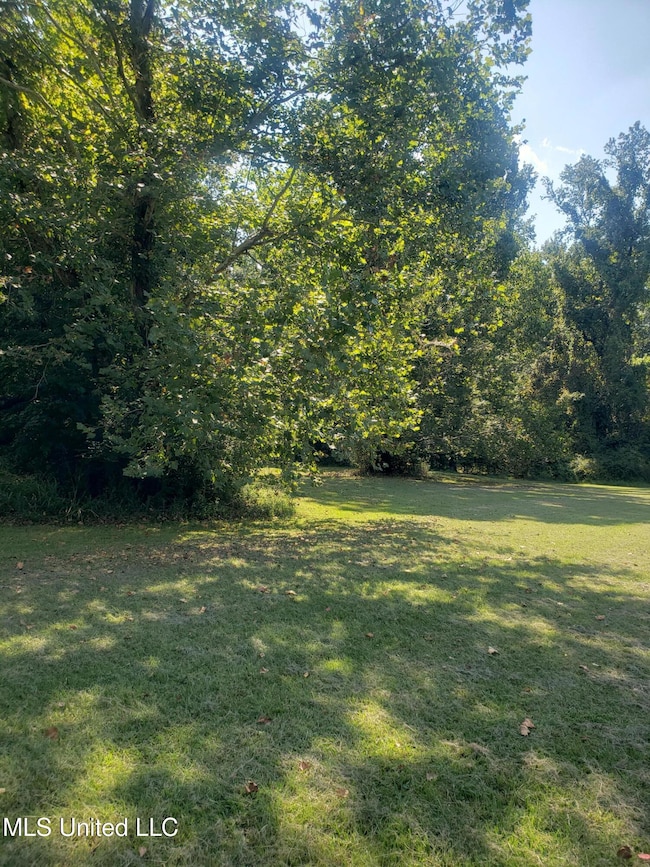 Shade tree