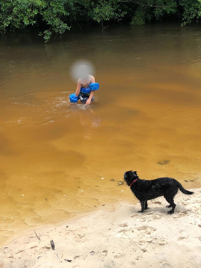 Parcel 1/D Sunburst Dr, Crestview, FL 32539 - photo 3