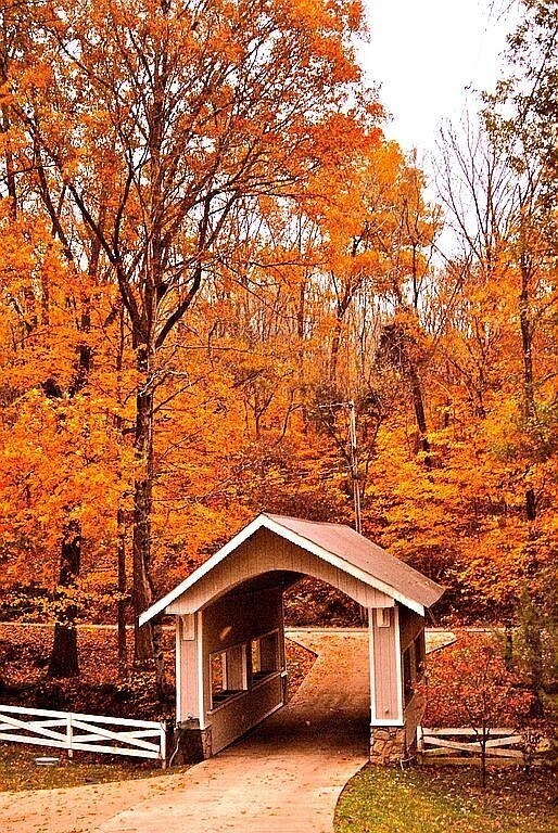 Previous autumn photo of the bridge, leading up to the property.