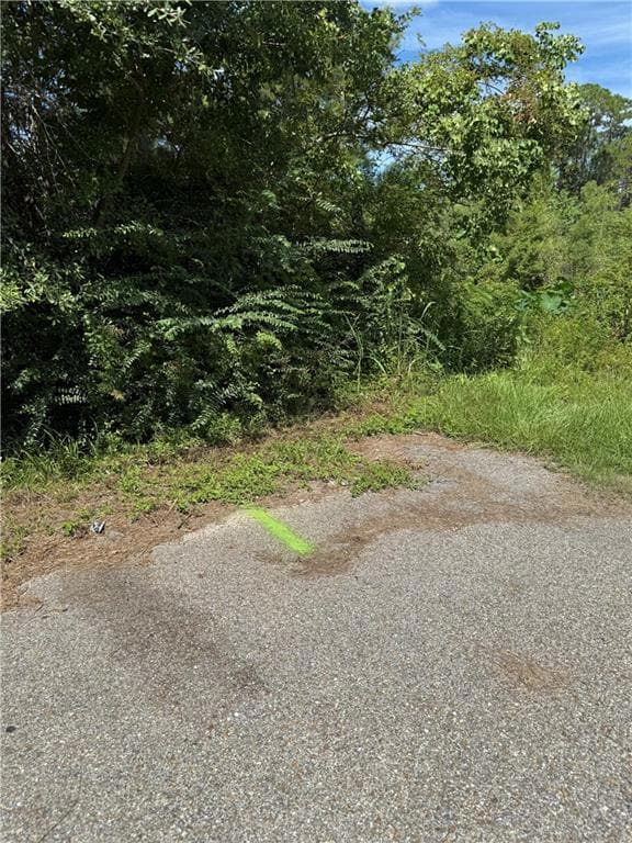 When facing property the yellow painted mark is approximately the end of lot 30.  Road dead ends there and the service road & Hwy 190E/Shortcut is right there.