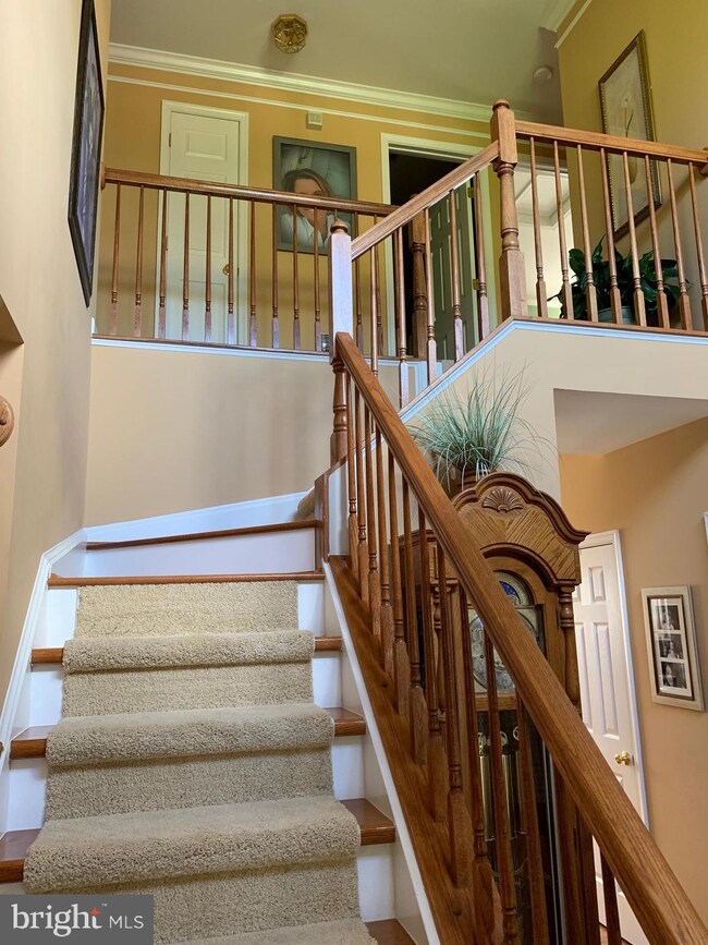 934 Wayne Dr, Winchester, VA 22601 - photo 5