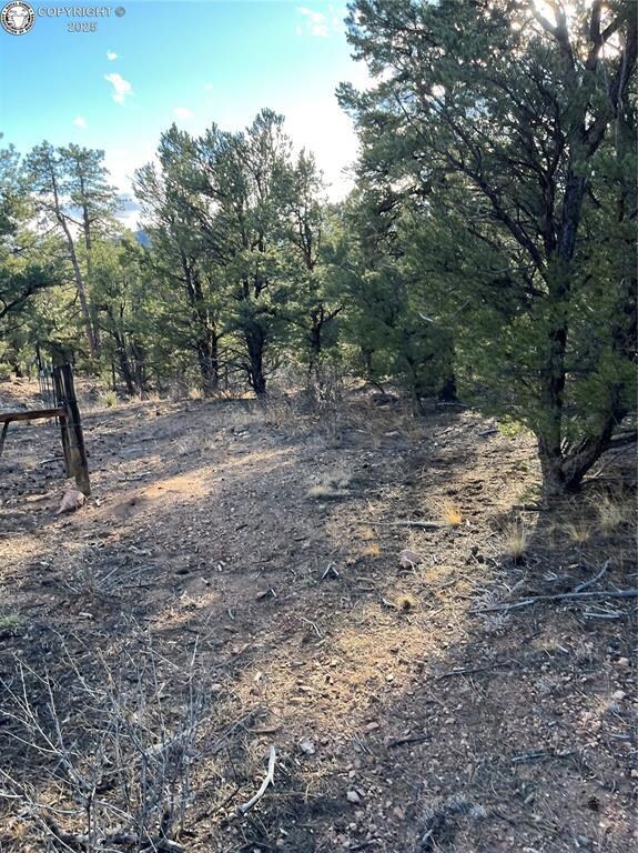 0 Q Path unit 7992612, Cotopaxi, CO 81223 - photo 7