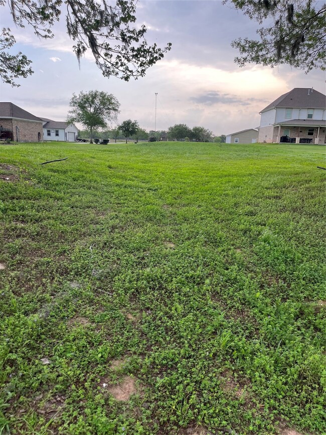 1175 Riverview Ranch Dr, Brazoria, TX 77422 - photo 5