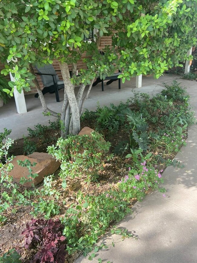 1206 Stanolind Ave, Midland, TX 79705 - photo 5