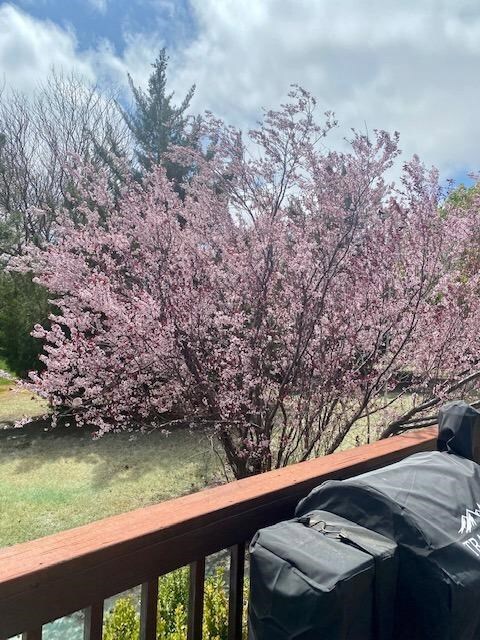 610 Lakeview Dr, Cimarron, KS 67835 - photo 7