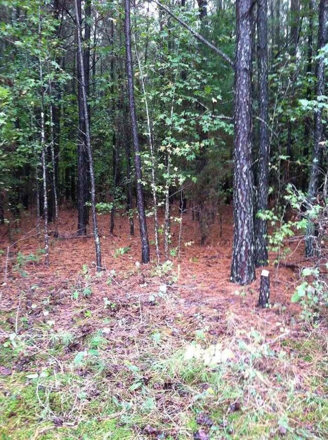 6675 Briarwood Dr, Oxford, NC 27565 - photo 4