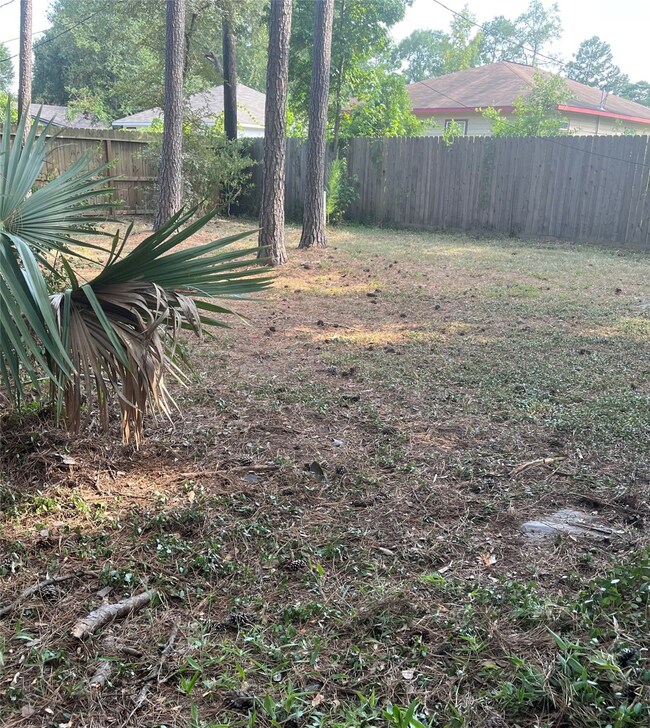 29907 Amarillo St, Magnolia, TX 77354 - photo 6