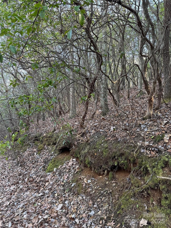 41 S Country Club Dr unit 41, Cullowhee, NC 28723 - photo 4