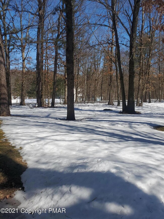 1247 Brian Ln, Effort, PA 18330 - photo 2