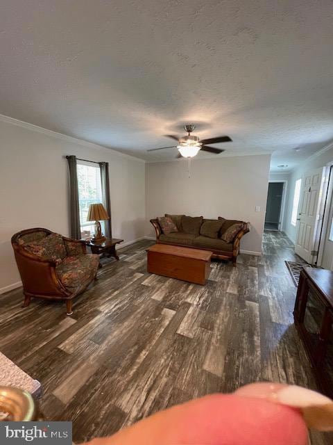 535 Parrish Ln, Colonial Beach, VA 22443 - photo 3