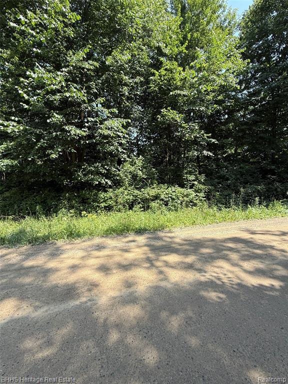 5550 Fisher Rd, Oceola Township, MI 48855 - photo 3